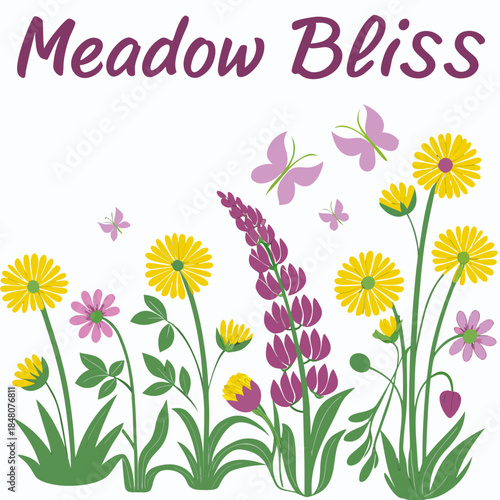 Colorful flowers and butterflies in a meadow purple flowers