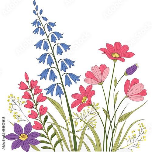 Colorful wildflowers on white background colorful flowers