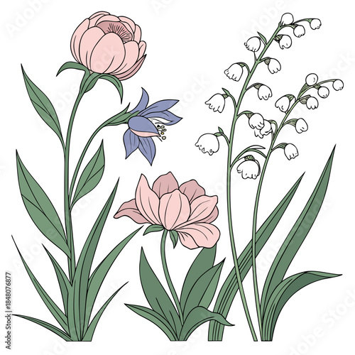 Pink peonies and lily of the valley flowers green leaves