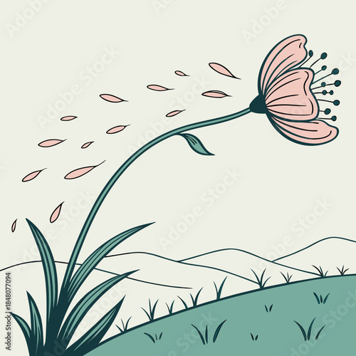 Pink flower dispersing seeds on green hill grass nature