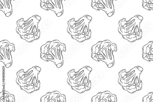 Seamless outline pattern with broccoli. Doodle illustration of vegetables. Illustration of healthy eating ingredients.