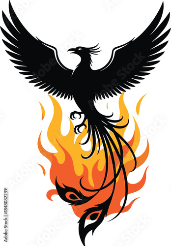 Black phoenix bird rising from orange and yellow flames phoenix, bird, flames, fire, black, orange, yellow, red, mythical, wings, burning, rising, silhouette, white background, outstretched, tail, clu