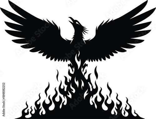 Black silhouette of a phoenix rising from flames bird phoenix, bird, silhouette, black, flames, fire, rising, mythical, wings, beak, feathers, symbol, white background, spread, white, background, styl