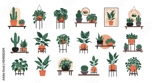 Large collection of trendy potted house plants and succulents for modern interior design and urban jungle home decor.