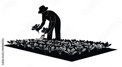 A silhouette of a gardener tending to a vibrant garden of leafy plants