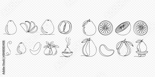 Set of continuous line art drawings depicting various forms of pomelo fruit, including whole, sliced, and peeled variations.