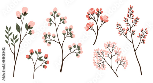 A beautiful collection of six delicate blooming tree branches with pink flowers and green leaves on a white background.
