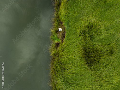 Aerial view of a solitary figure nestled on the edge where verdant marshland meets the tranquil waters, a study in contrasts, Hoi An, Quang Nam, Vietnam.