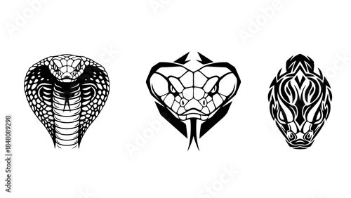 Stylized Snake Heads in Realistic, Geometric, and Tribal Designs