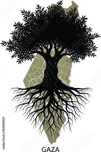 Silhouette Of Olive Tree With Roots Over Map Of Gaza On White Background Keywords: Gaza, olive tree, roots, silhouette, map, symbol, Palestine, political, protest