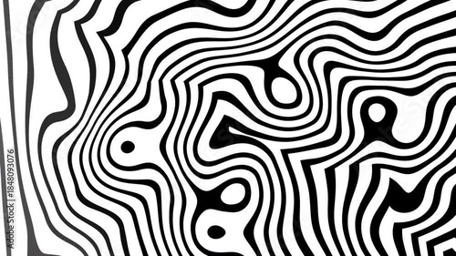 Black and white wavy lines create a captivating abstract composition suitable for modern and minimalistic design projects and backgrounds.