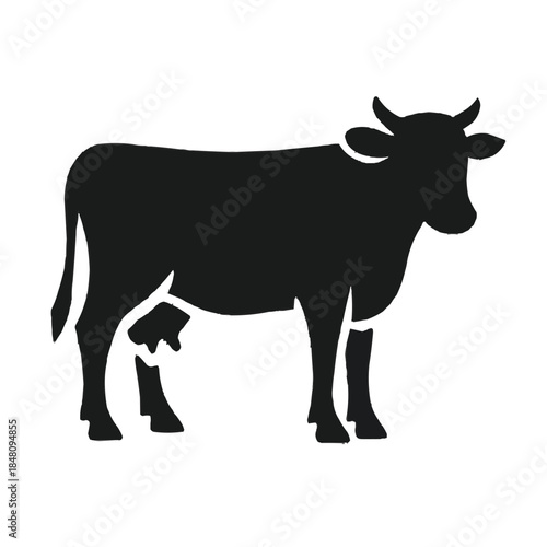 A cute cartoon illustration of a black and white cow and bull standing on a dairy farm as isolated vector silhouettes of domestic cattle livestock for agriculture and nature art