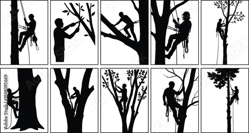 Tree pruning and arborist worker silhouette scene collection showing climbing and cutting tasks, black and white vector set for forestry, safety, outdoor labor design projects