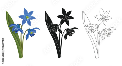 Floral illustration depicting blue black silhouette and line art flower arrangements