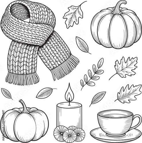 Cozy autumn harvest seasonal elements scarf pumpkins candle tea cup leaves vector illustration line art royalty free premium quality