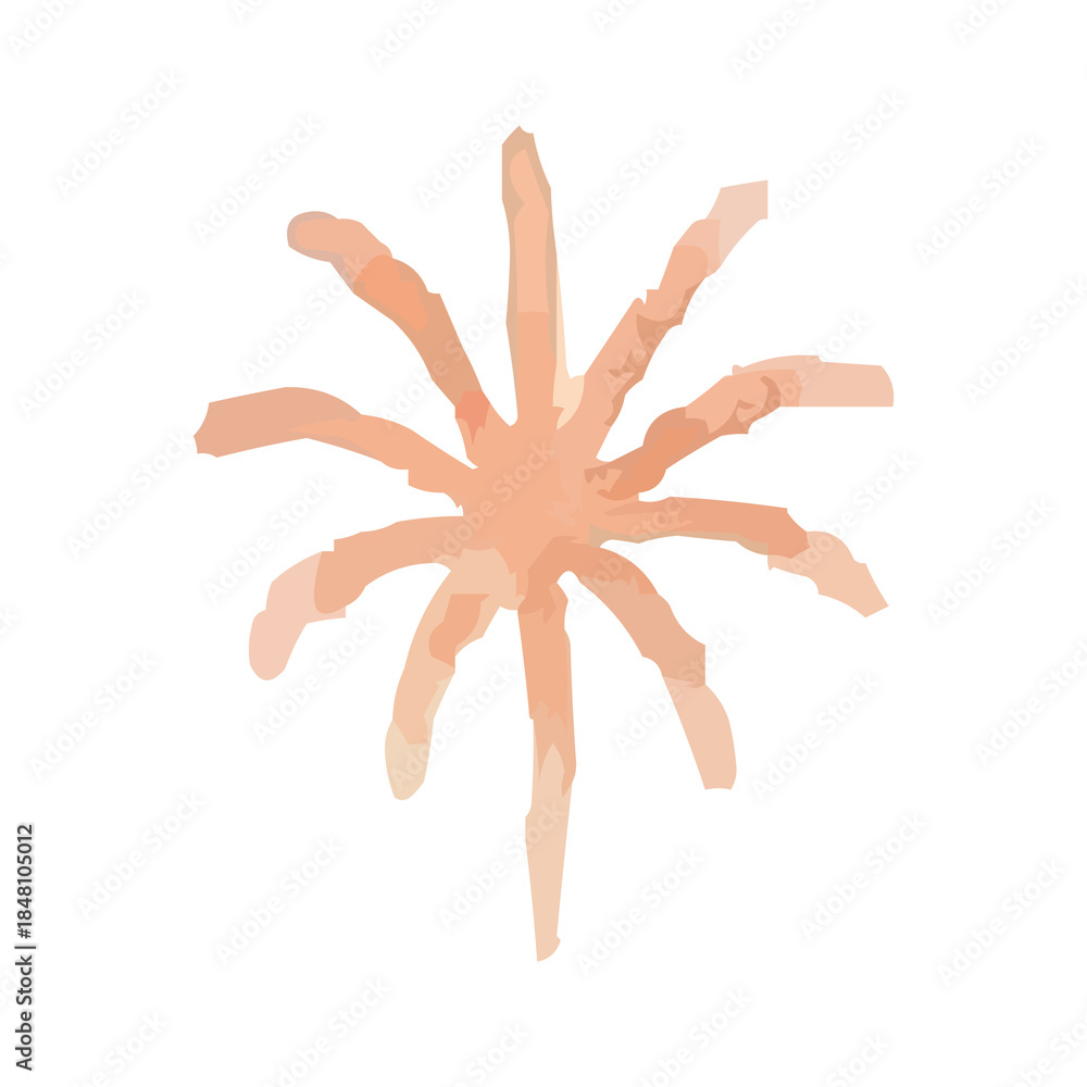 Fototapeta premium watercolor fireworks