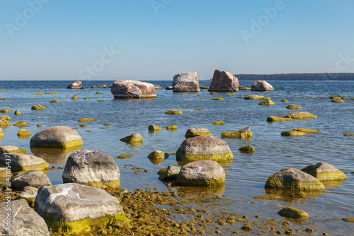 Rocky coastal shallows with multiple stones at low tide