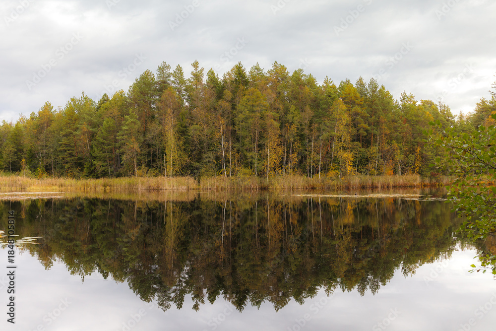 Obraz premium Forest shoreline mirrored in calm lake under cloudy sky.
