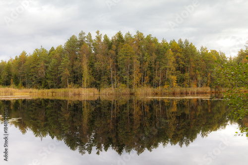 Forest shoreline mirrored in calm lake under cloudy sky.