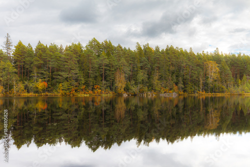 Wide forest lake panorama with autumn trees and water reflections.