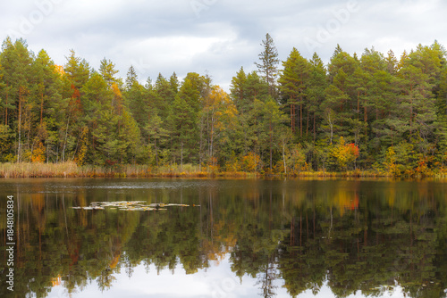 Forest lake shoreline with autumn foliage reflected in still water.