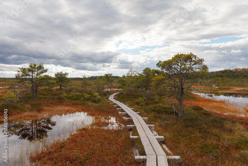Wide open wetland with autumn colors and cloudy sky.