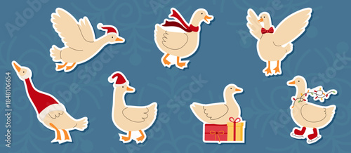 Set of stickers with New Year geese in different poses - sitting, flying, walking on a blue background. Goose with gifts and winter accessories. Vector illustration.