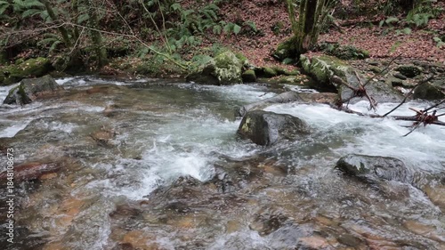 Forest stream flowing over mossy rocks in autumn