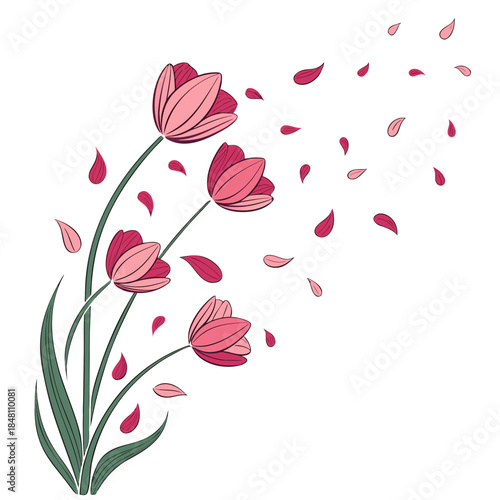 Pink Tulips with Falling Petals pink flowers green stems
