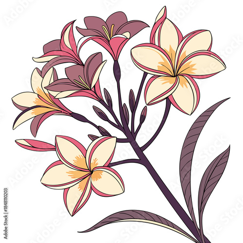 Colorful flowers with pink and yellow petals and dark stems