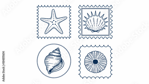 Vintage Sea Shell and Starfish Illustrations on Postage Stamps