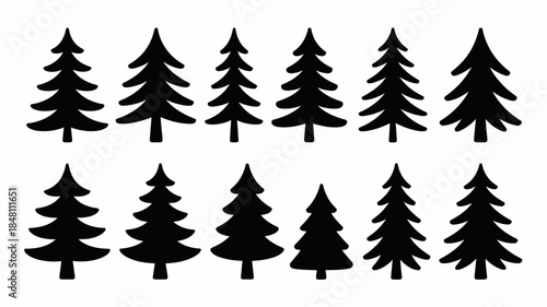 Black Silhouettes of Various Pine Trees on White Background
