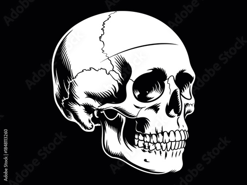 Cracked Human Skull Illustration Black