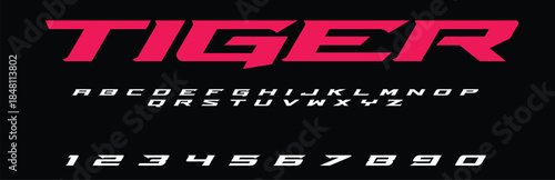 Tiger Vector Font Alphabet Design Wild Animal Inspired Typography with Alphabet Bold Fierce Letters for T Shirts Posters Logos Wildlife Art Projects and Creative Branding	