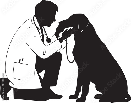 Veterinarian Examining Dog Silhouette