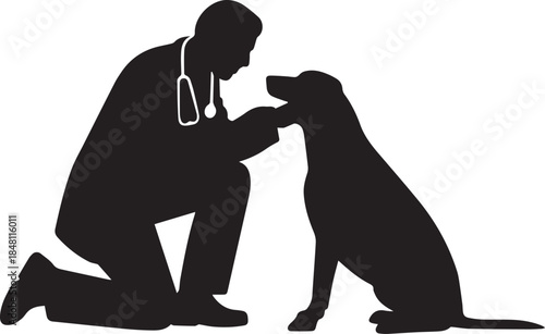 Veterinarian Examining Dog Silhouette