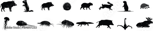 Collection of various insect silhouettes