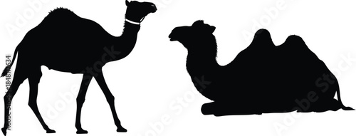 Silhouette of two camels against a white background