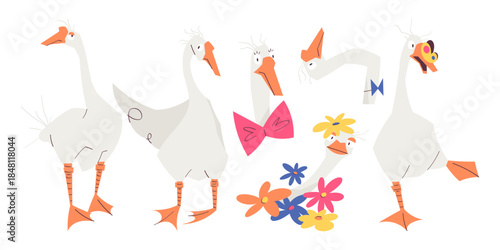 Big vector set of funny goose characters isolated on white background. Cute geese in different poses with flowers and accessories. Perfect for stickers, posters, cards, kids design, and prints