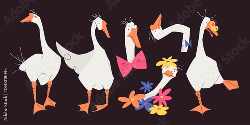 Big vector set of funny goose characters in different poses with flowers, bow tie, and playful expressions. Cute birds for posters, cards, stickers, prints, kids design, and social media content