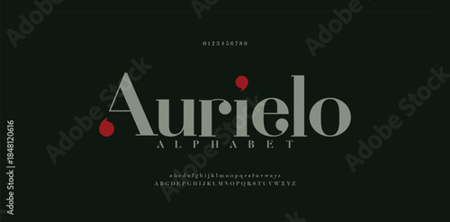 Elegant alphabet letters font. Classic Modern Serif Lettering Minimal Fashion Designs. Typography  decoration fonts for branding, wedding, invitations, logos. vector illustration