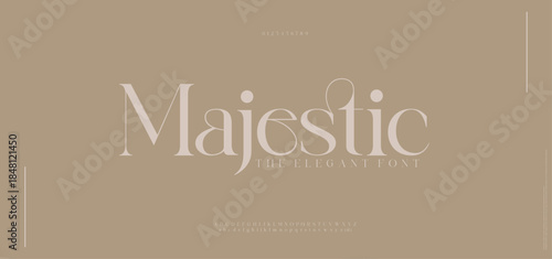 Elegant font logo letters alphabet. Typography luxury classic beauty lettering serif italic fonts decorative wedding vintage retro logos. vector illustration