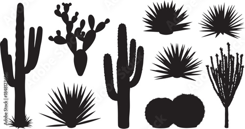 Collection of Desert Plants Silhouettes on Transparent Background