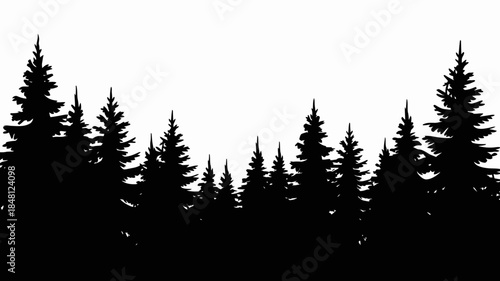 Silhouette of Evergreen Trees Against a White Background