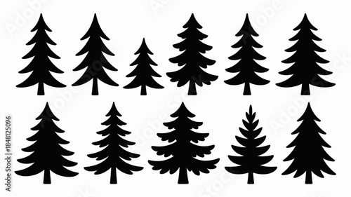 Black Silhouettes of Various Pine Trees on White Background