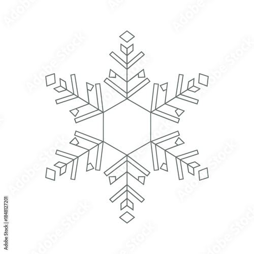 Intricate snowflake design Vector