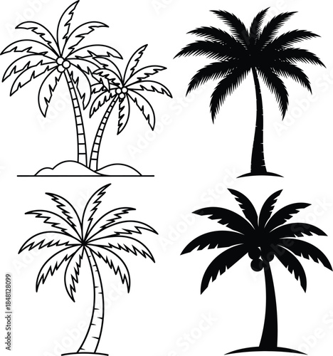 Set of Illustration of Palm Trees with Different Styles for Tropical Nature Design