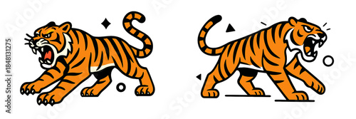 Vector illustration of fierce tigers in dynamic poses