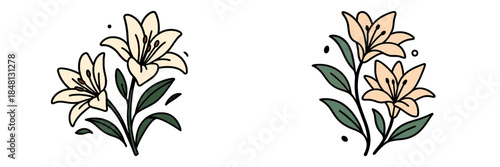 Floral vector illustration featuring two elegant lily arrangements
