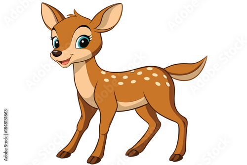 Charming fawn with white spots is standing on a plain white background